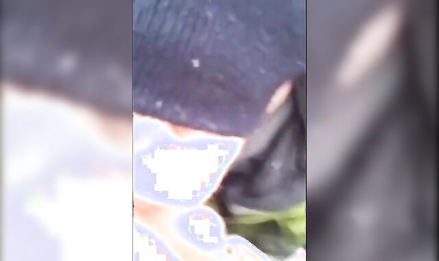 Big-Cock Twink Sucks Outdoors