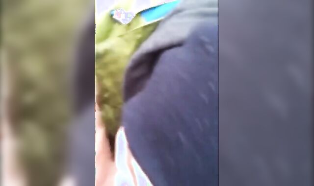 Big-Cock Twink Sucks Outdoors