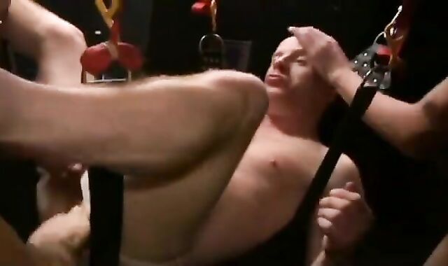 Breeding tear up-festival