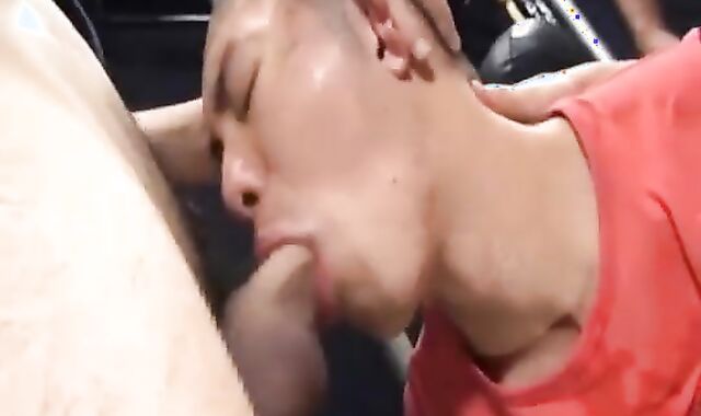 group pound 1 Thá»¥ Vá»›i Nhiu CÃ´ng