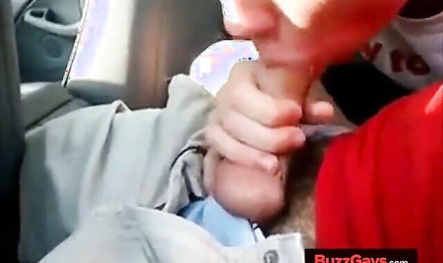 Backseat Blowjob and Cum Swallow