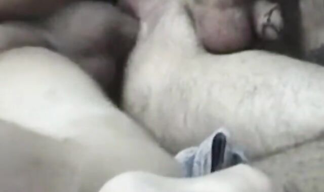 Big Cock Amateur's Nice Fucking