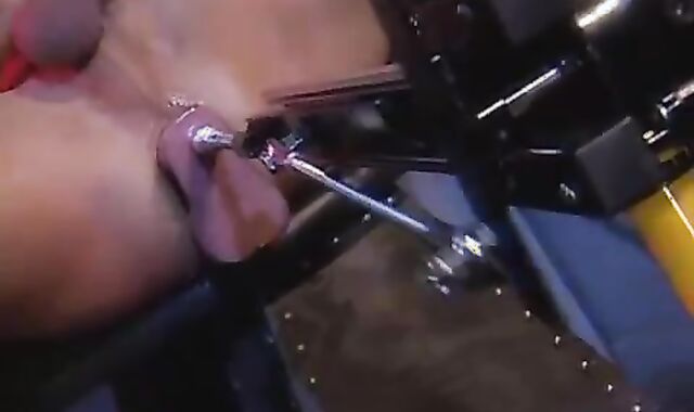 faggot Mustang - Lockdown