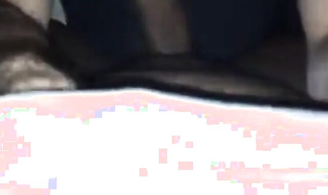 Fat Dick Sucking Session