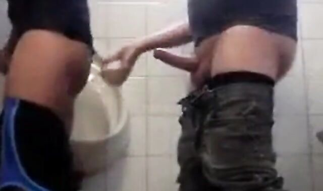 Bareback Amateur Anal in the Bathroom