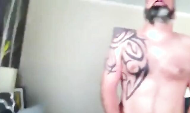 Osos amateurs calientes y peludos