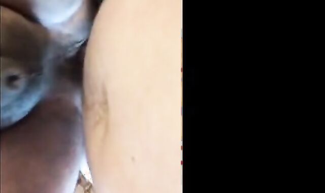 Bareback Bear Pounding