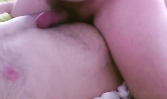 Big Bear Belly Humping Fun