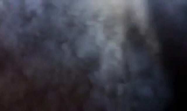 Daddy's Blowjob Adventure