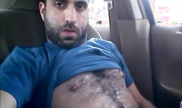 Osito peludo se divierte en el coche