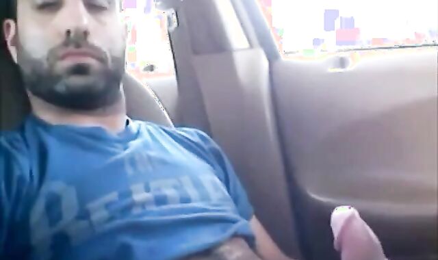 Osito peludo se divierte en el coche