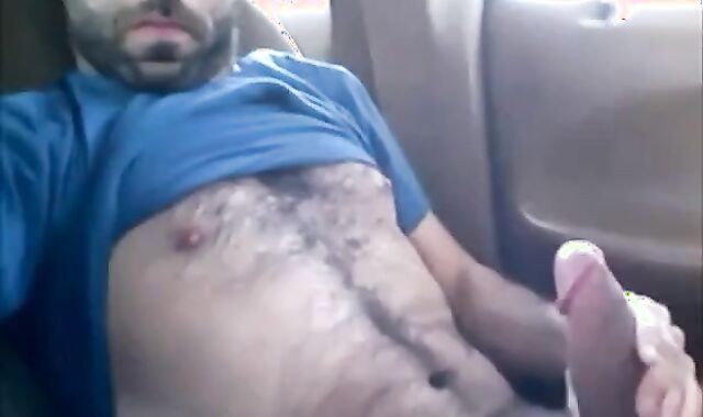 Osito peludo se divierte en el coche