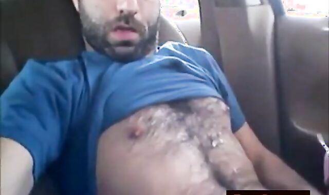 Osito peludo se divierte en el coche