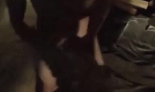 Daddy and His Boy's Webcam Fun