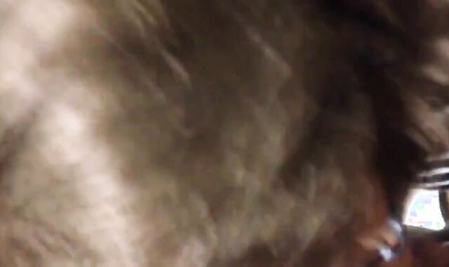 Public Restroom Blowjob with a Crossdresser