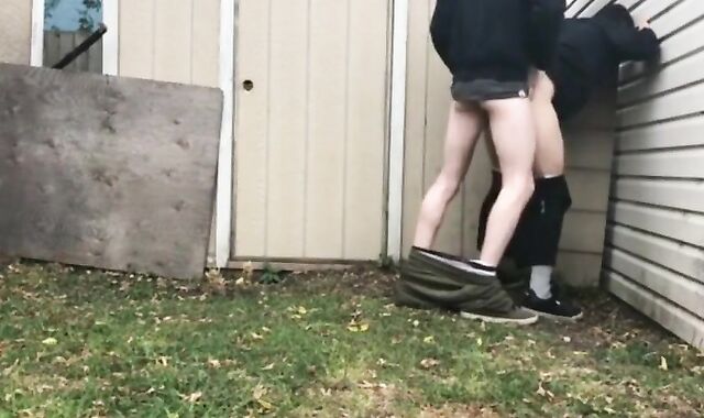 Backyard Amateur Love