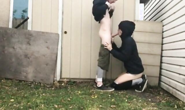 Backyard Amateur Love