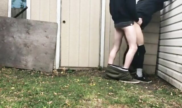 Backyard Amateur Love