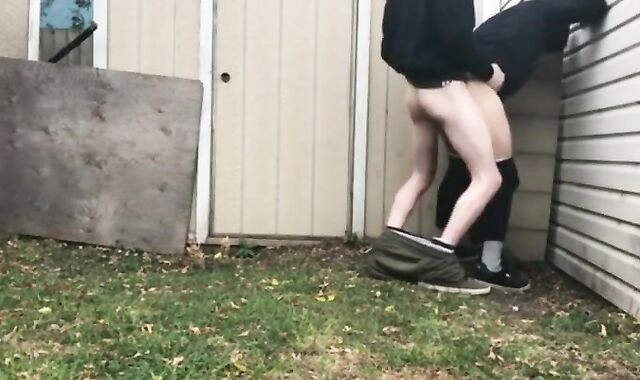 Backyard Amateur Love
