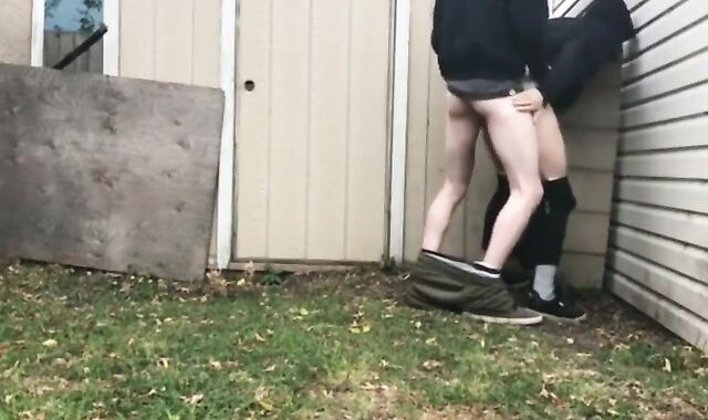 Backyard Amateur Love