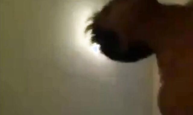 Bareback Amateur Anal Sex with Twinks 2