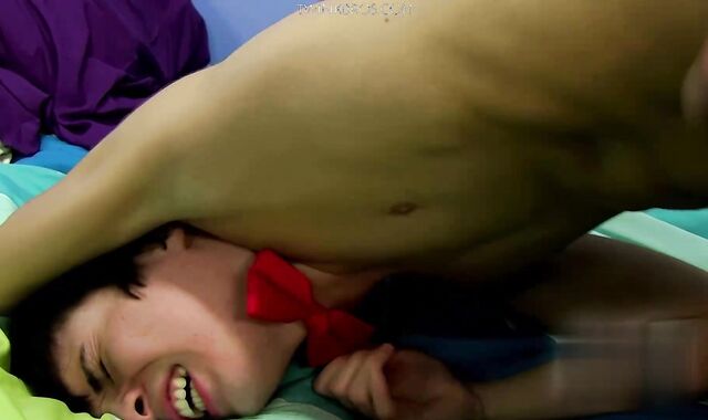 A Bow Tie Makes Anything Classy