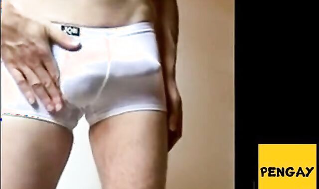 Big Cock Bulge in See-Through Lycra Underwear