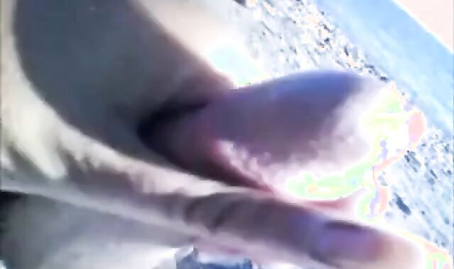 Beach Wankers Caught on Cam