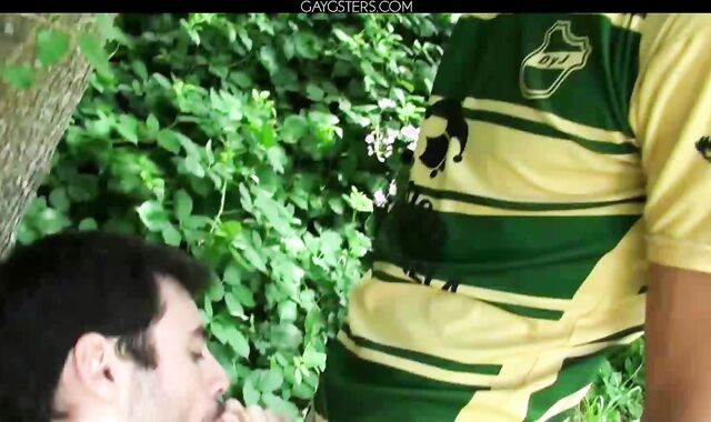 Rokko And Michael Amerika