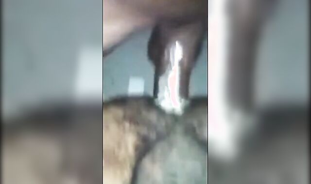 Black Bareback Amateur Takes Big Cock