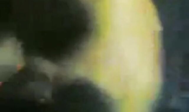 Indonesian Daddies Group Blowjob