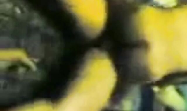 Indonesian Daddies Group Blowjob