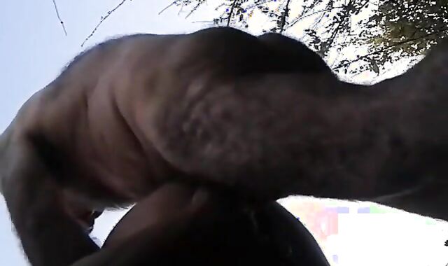 Papás maduros cogiendo al aire libre