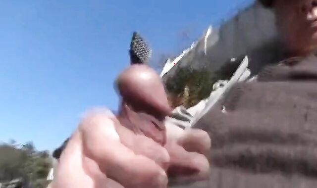 200 Grandpas Jerking Off Outdoors