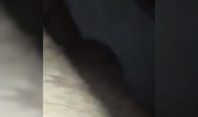 Fat Indian Gay Man Getting Bareback Fucked