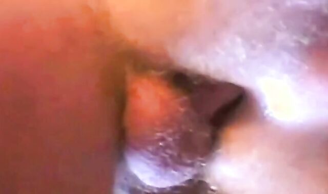 Bareback Fun: Cum, Lick, Repeat