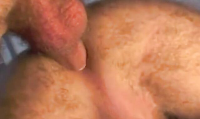 Bareback Fun: Cum, Lick, Repeat