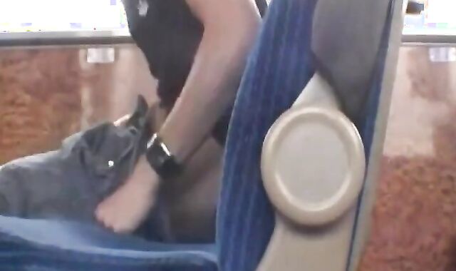 Twink Handjob in the Bus