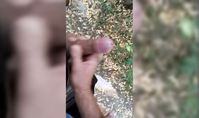 Hand Relief in the Park