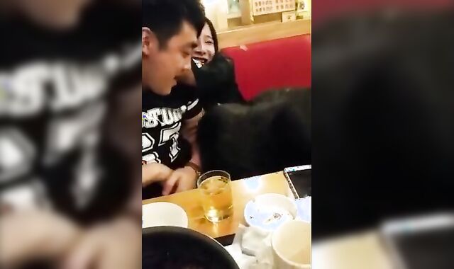 Dinner with Asian Crossdressers