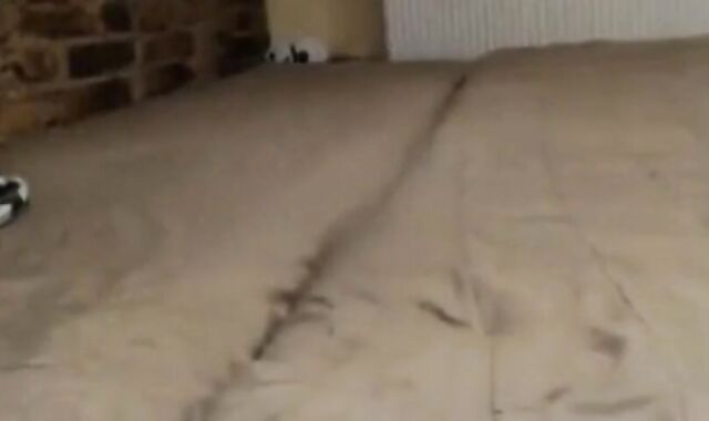 Amateur Twinks on Webcam Fun