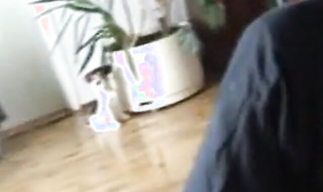 Older man gives an amazing blowjob to a big cock