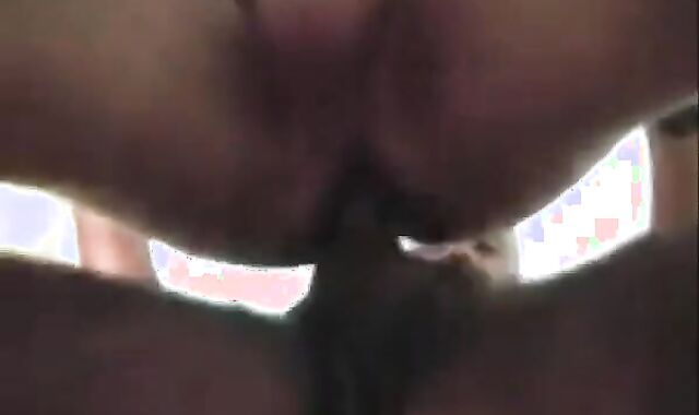 Turkish Bears Hardcore