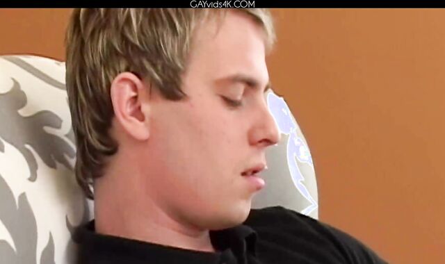 Ariel Vanean Dario Dolce And Hans Klee Original Programming