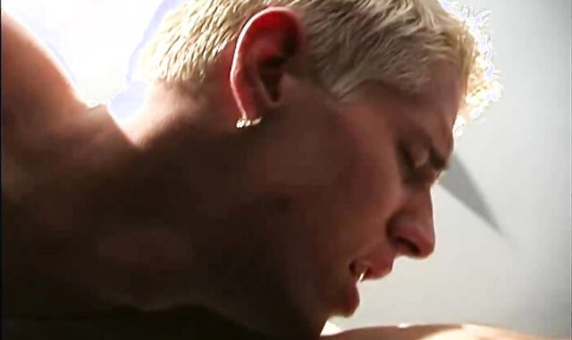 Calib And Chad Stud Pups In Heat