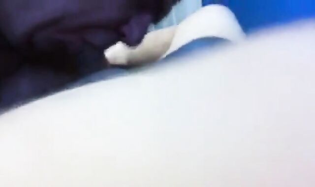 Maduro recibe una mamada de un oso amateur