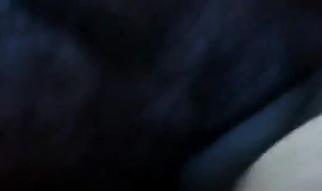 Maduro recibe una mamada de un oso amateur