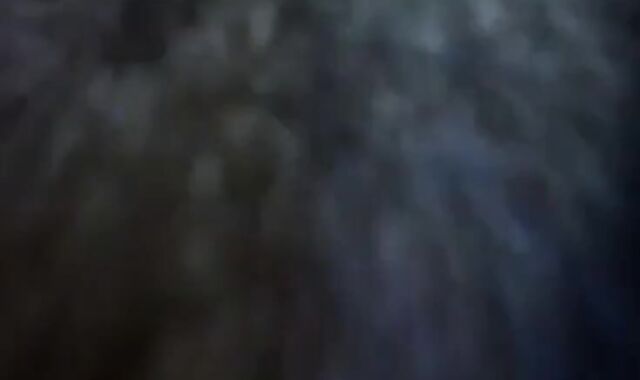 Maduro recibe una mamada de un oso amateur