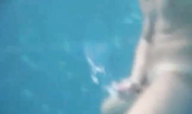 Big-Cock Man Masturbates Outdoors: Underwater Cum Explosion!