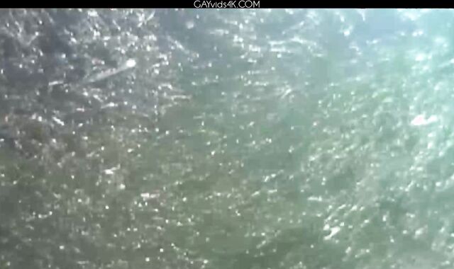 Ariel Vanean And Phillipe Gaudin Condom Free